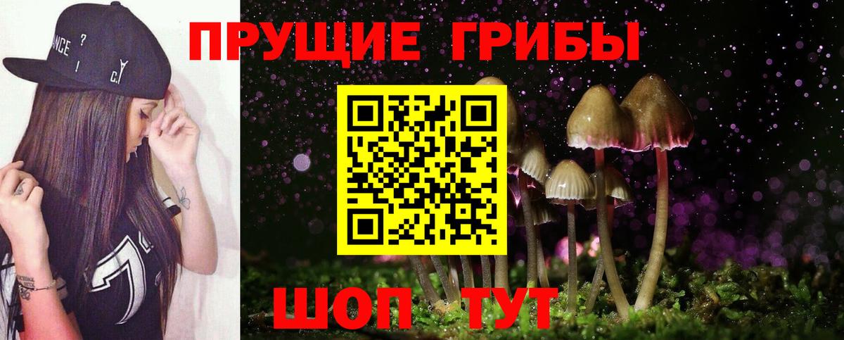 Псилоцибиновые грибы Cubensis Соликамск
